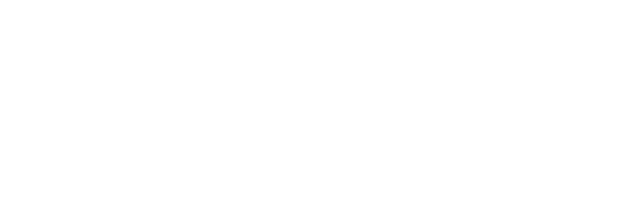 Eisfeld Consulting